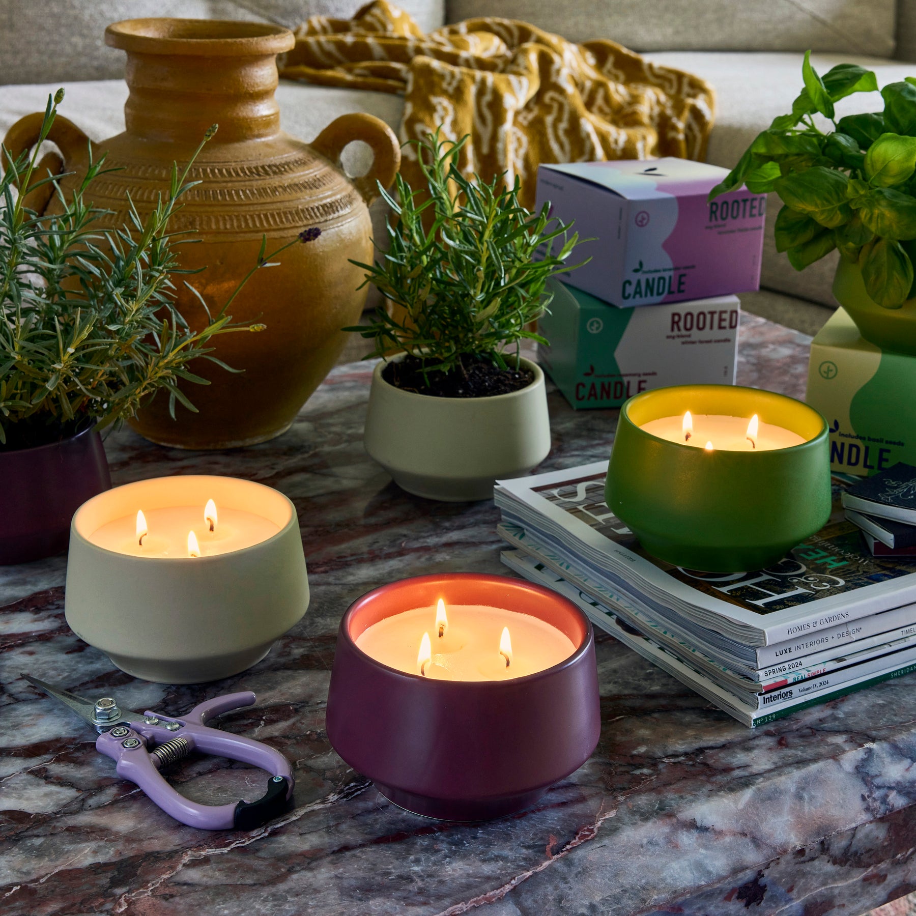 Rooted 3-Wick Candles
