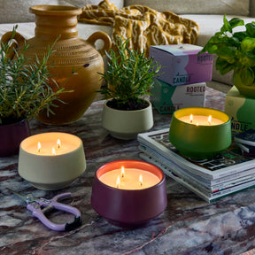 Rooted 3-Wick Candles