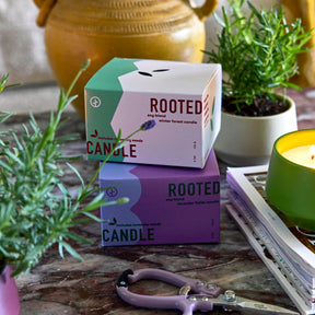 Rooted 3-Wick Candles