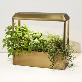 indoor plant light box Smart Growhouse Brass