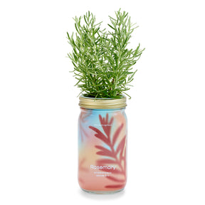 NEW! Garden Jars - Organic Herbs