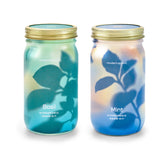 Two glass garden jars labeled Basil and Mint, showcasing hydroponic grow kits with colorful, translucent designs.