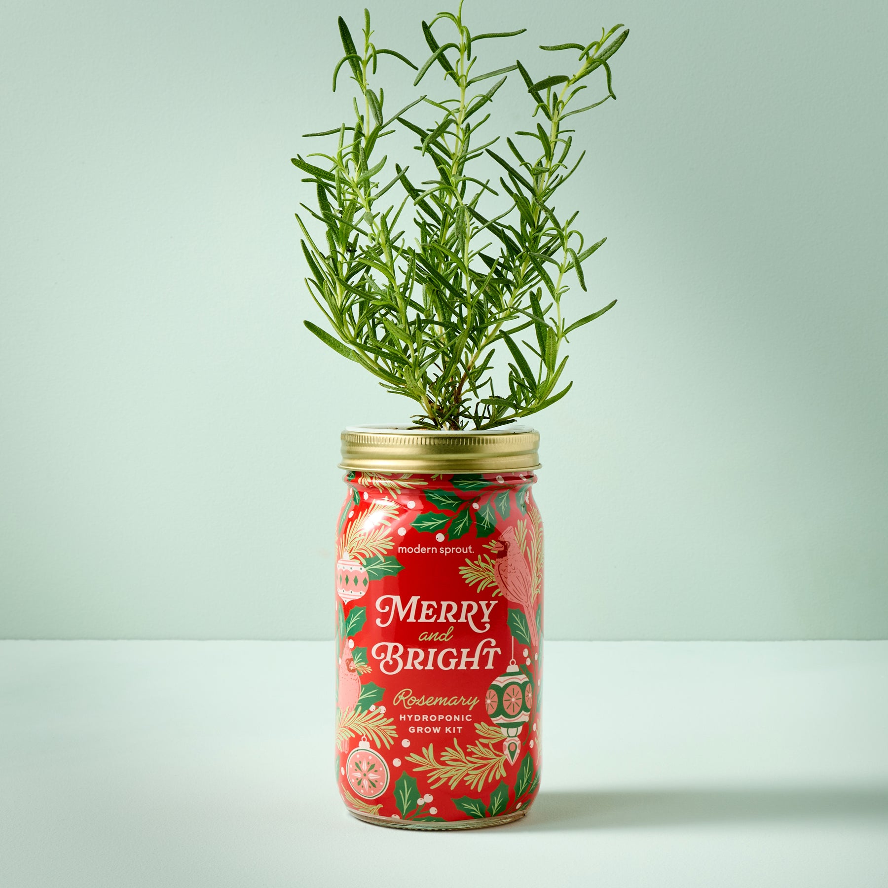 Garden Jars - Holiday