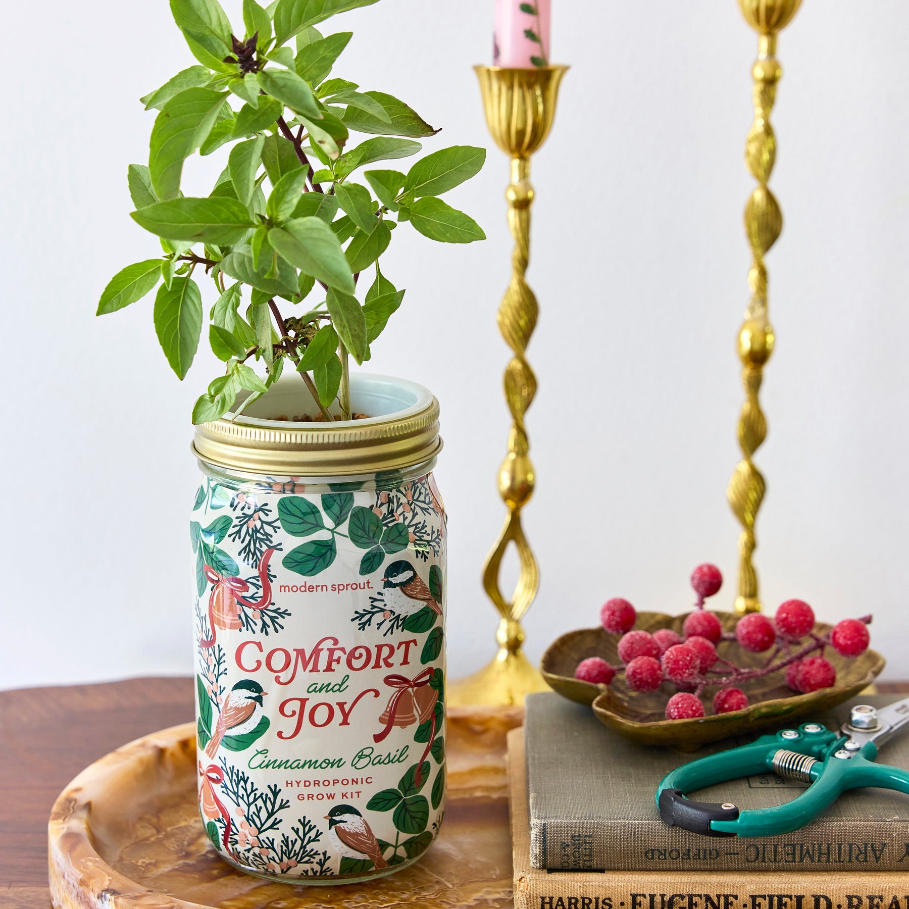 Garden Jars - Holiday
