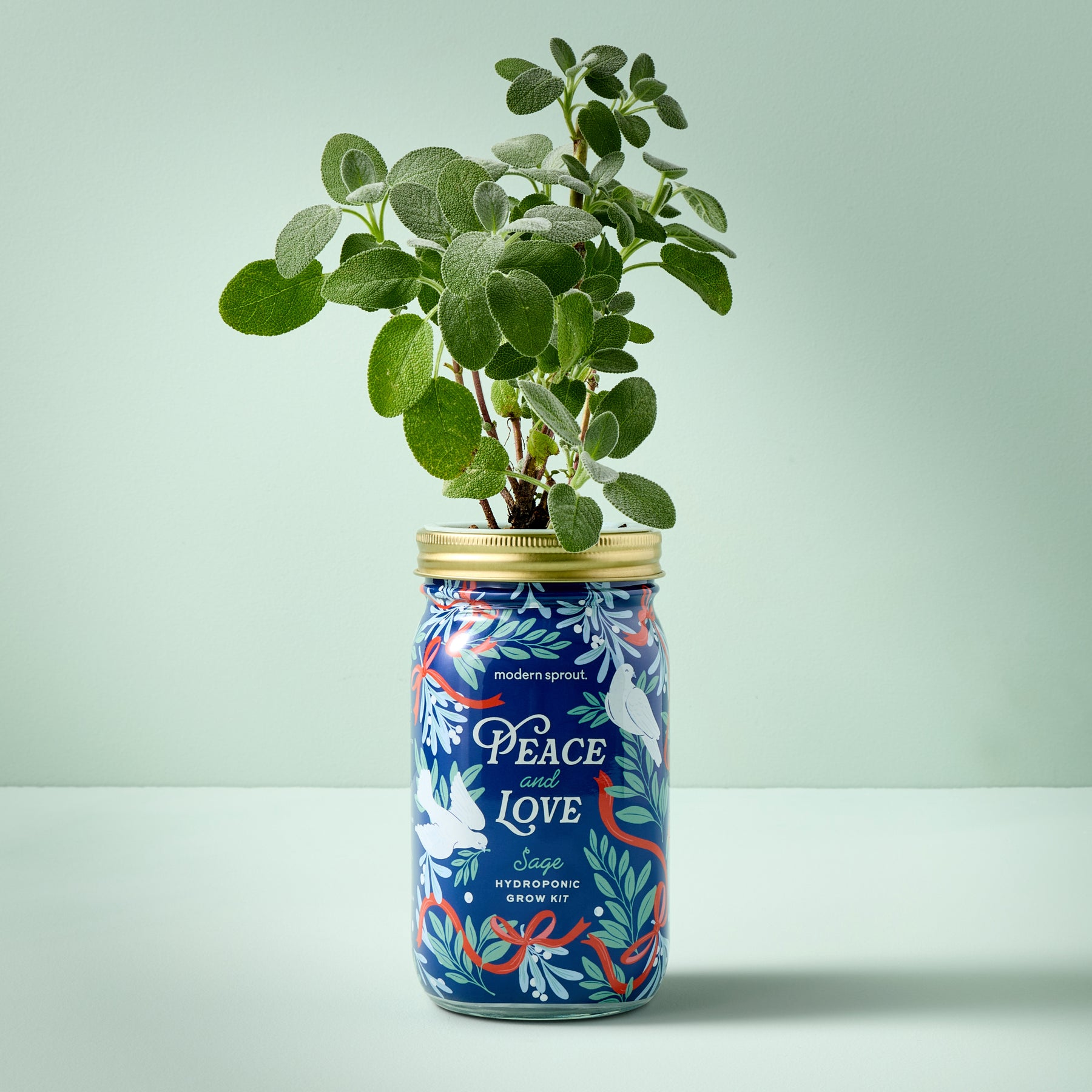 Garden Jars - Holiday