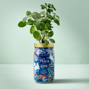 Garden Jars - Holiday