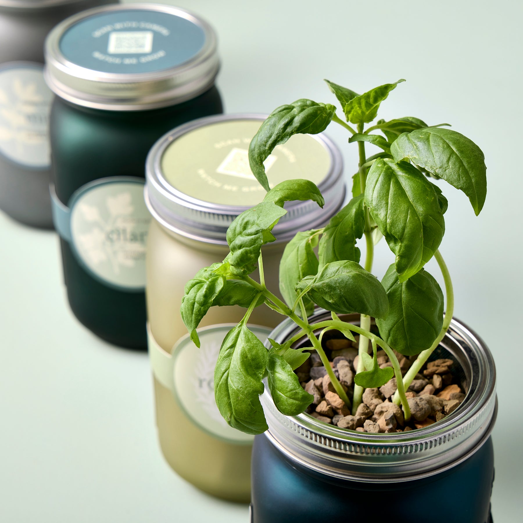 Garden Jars - Herbs