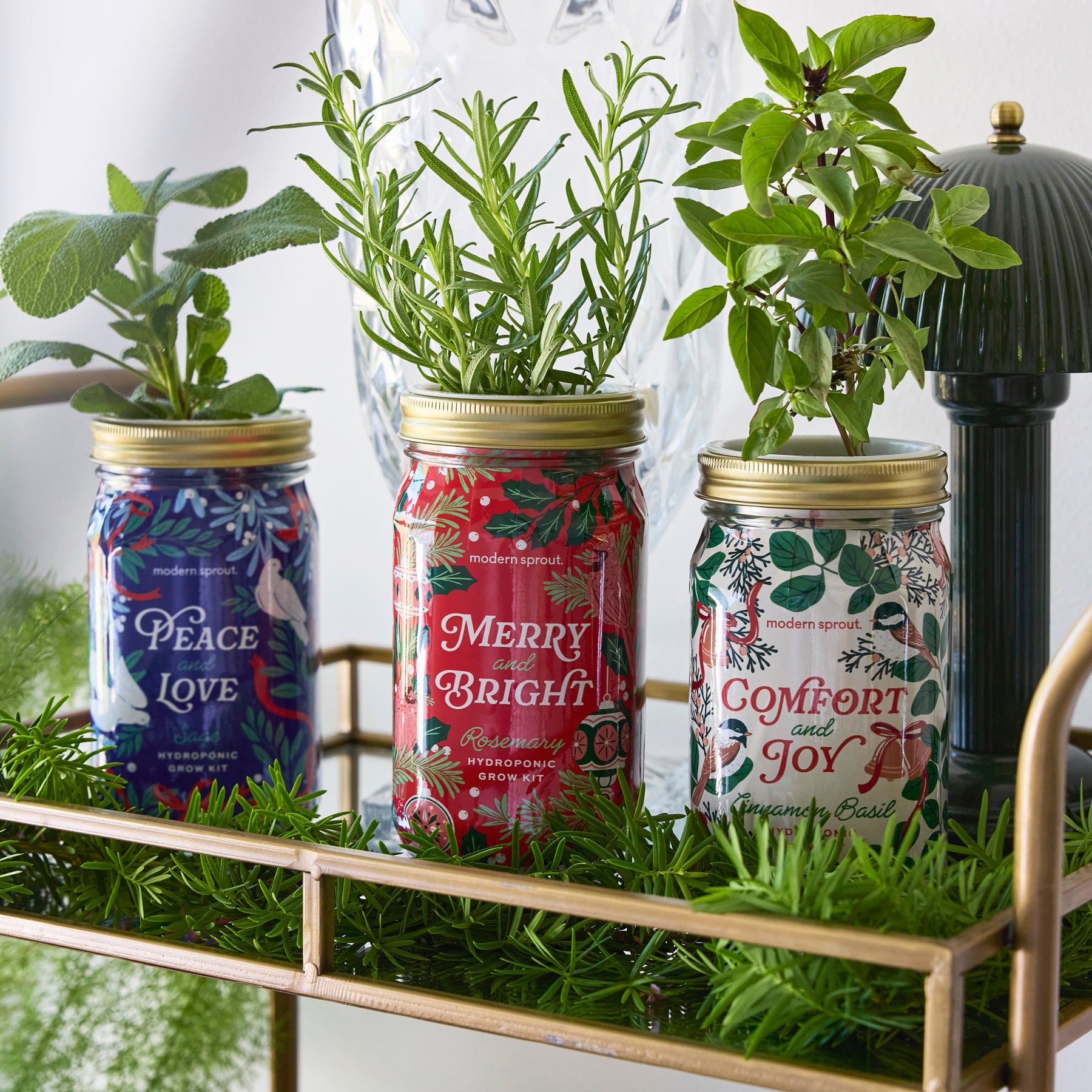 Garden Jars - Holiday