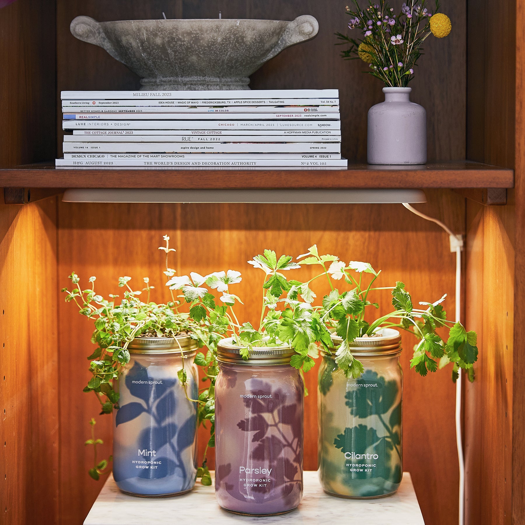 Smart Growbar