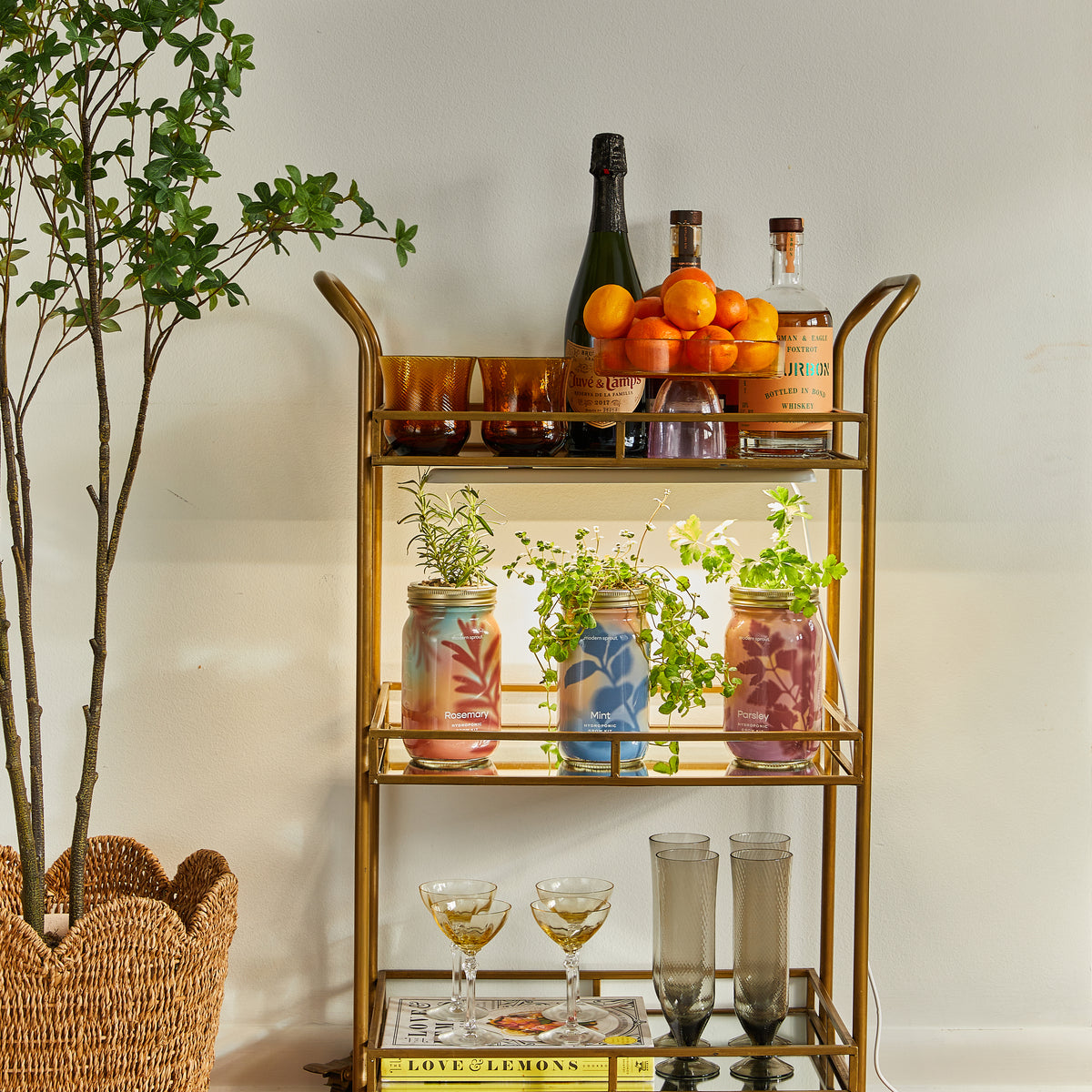 Stylish bar cart featuring garden jars with organic herbs, decorative bottles, and glasses, set against a neutral wall.