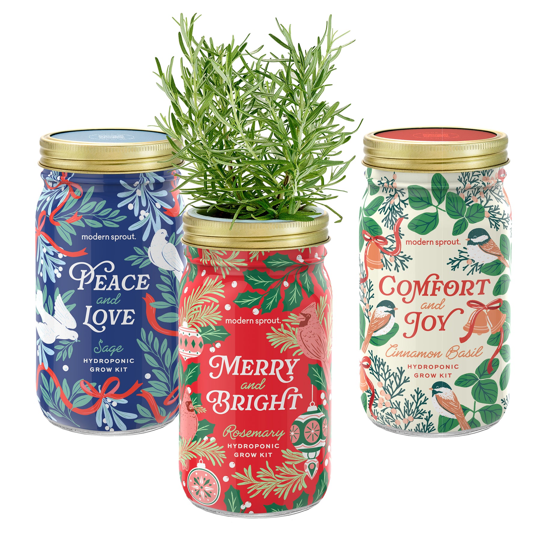Garden Jars - Holiday