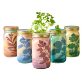 Five garden jars filled with organic herbs: rosemary, mint, parsley, basil, and cilantro, showcasing vibrant colors and plant growth.