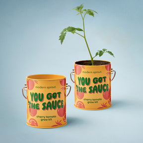 Complimentary Colors Grow Kits