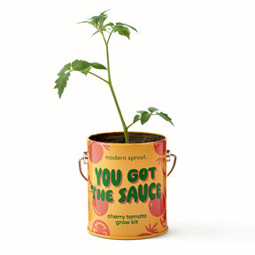 Complimentary Colors Grow Kits