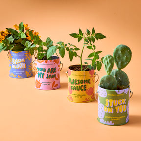 Complimentary Colors Grow Kits