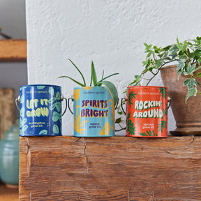 Three colorful grow kits from Modern Sprout: Lift & Grow, Spirits Bright, and Rockin' Around, displayed on a wooden shelf.