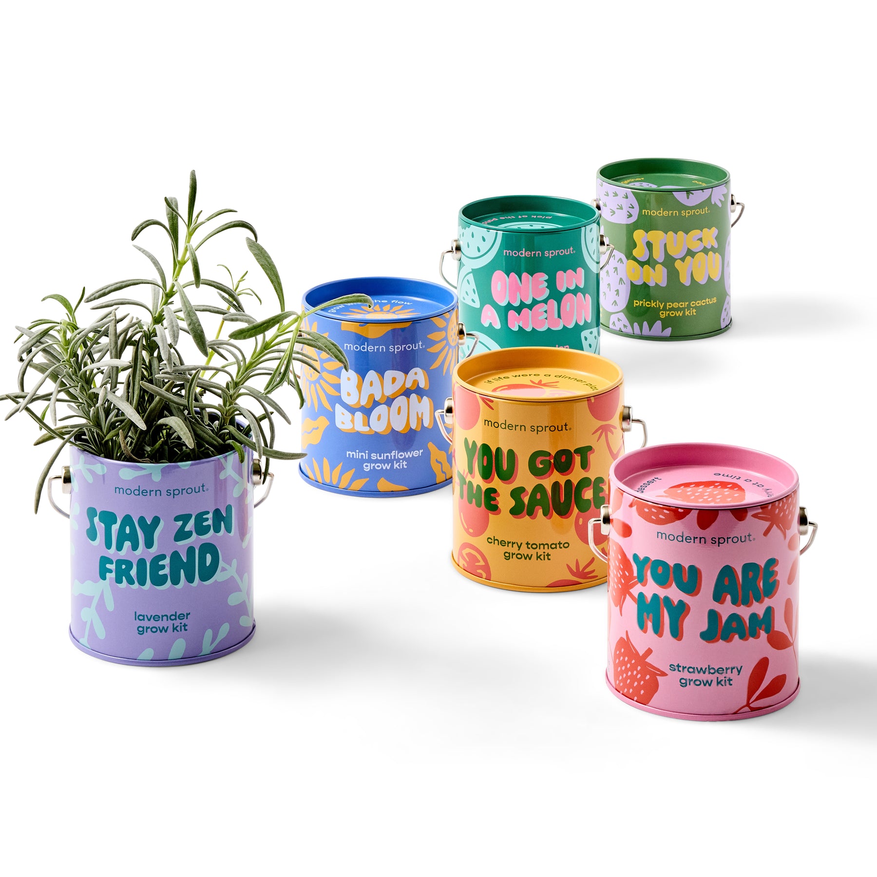 Complimentary Colors Grow Kits