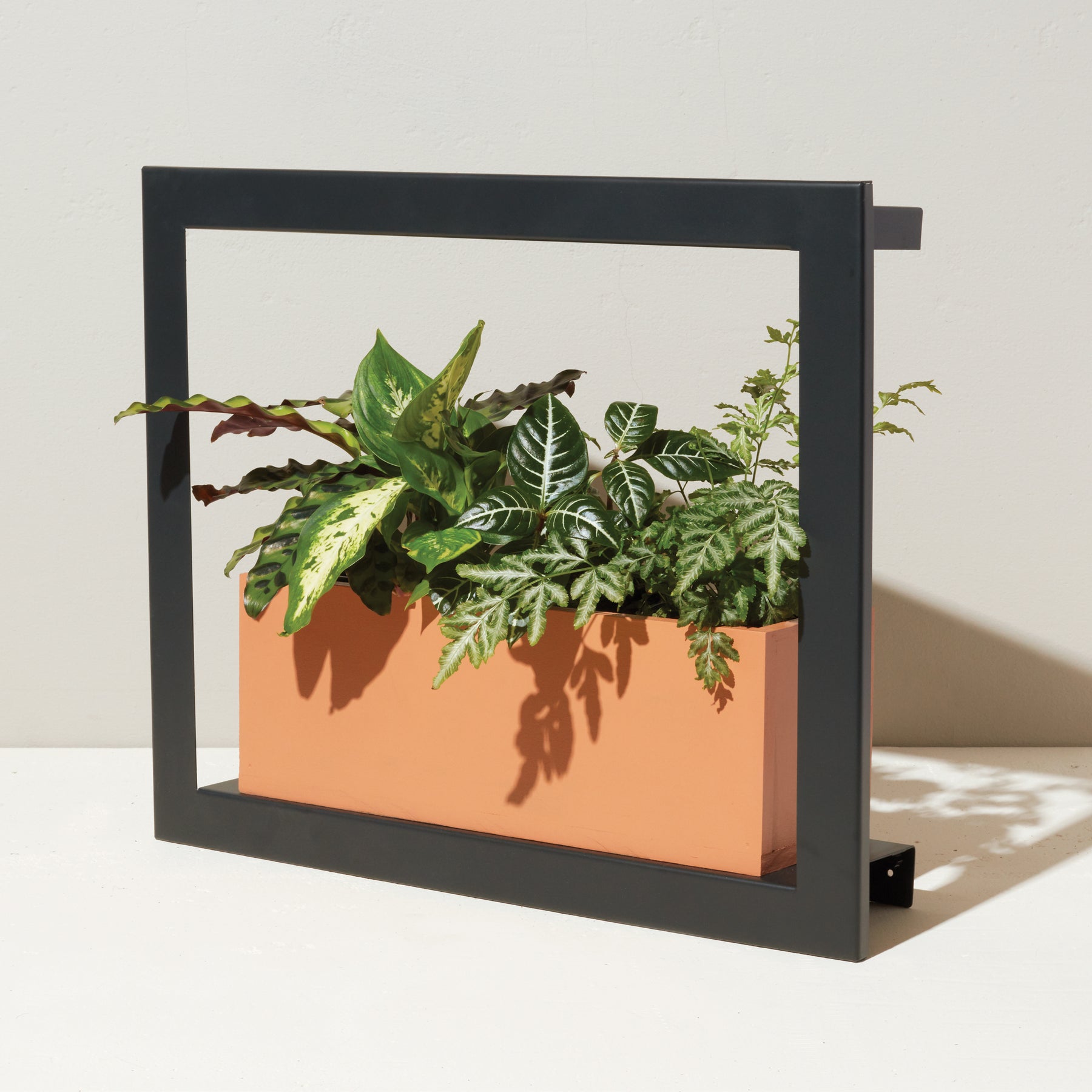 modern plant grow lights Smart Standard Growframe | Wall-Mountable Metal Fixture | 17” x 5.5” Shelf | Full-Spectrum LED Grow Light
