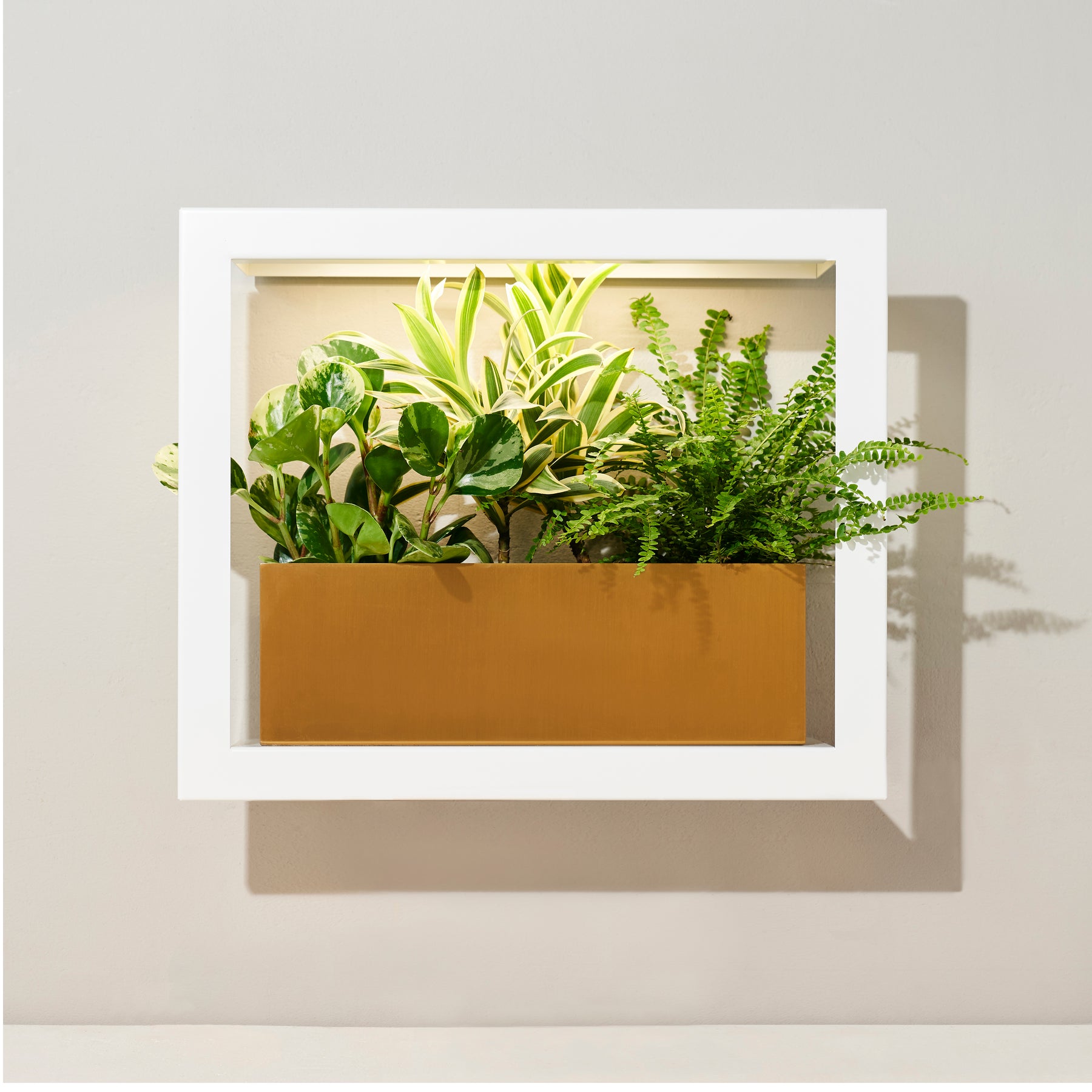 wall planter with grow light Smart Standard Growframe | Wall-Mountable Metal Fixture | 17” x 5.5” Shelf | Full-Spectrum LED Grow Light