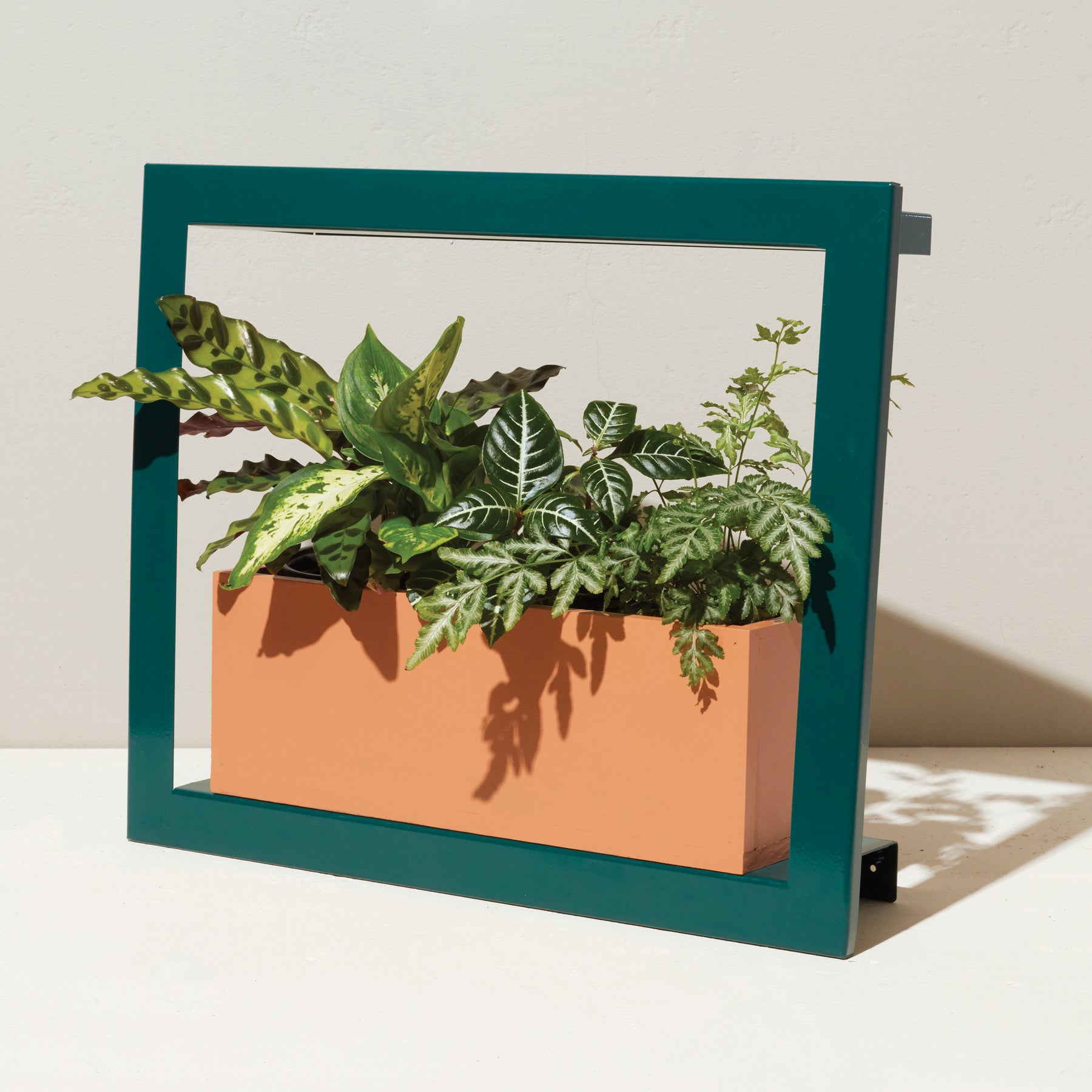 wall mount plant grow light Smart Standard Growframe | Wall-Mountable Metal Fixture | 17” x 5.5” Shelf | Full-Spectrum LED Grow Light