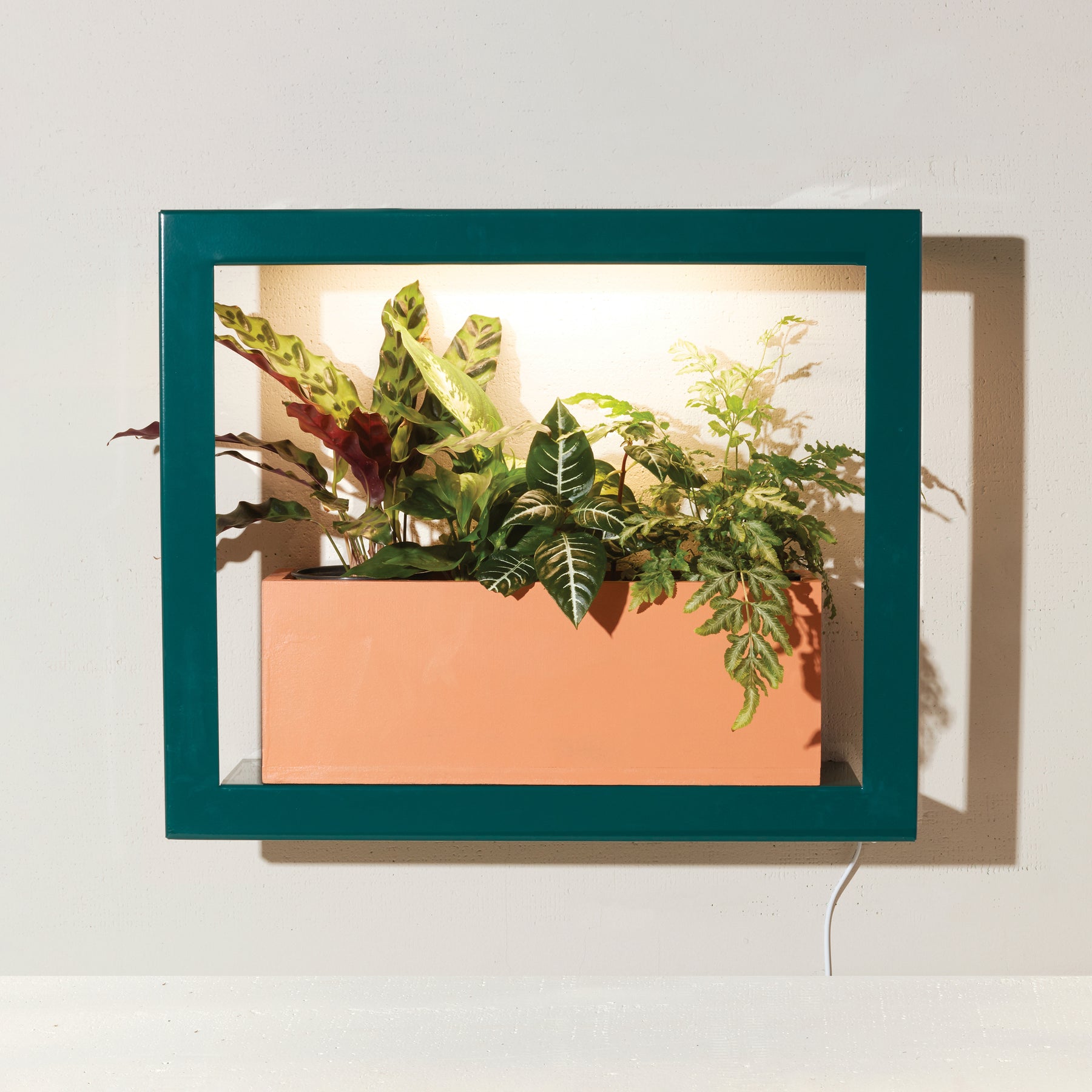 plant wall shelves with grow lights Smart Standard Growframe | Wall-Mountable Metal Fixture | 17” x 5.5” Shelf | Full-Spectrum LED Grow Light