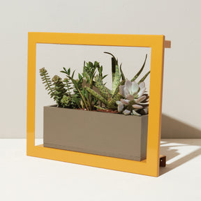 Smart Standard Growframe