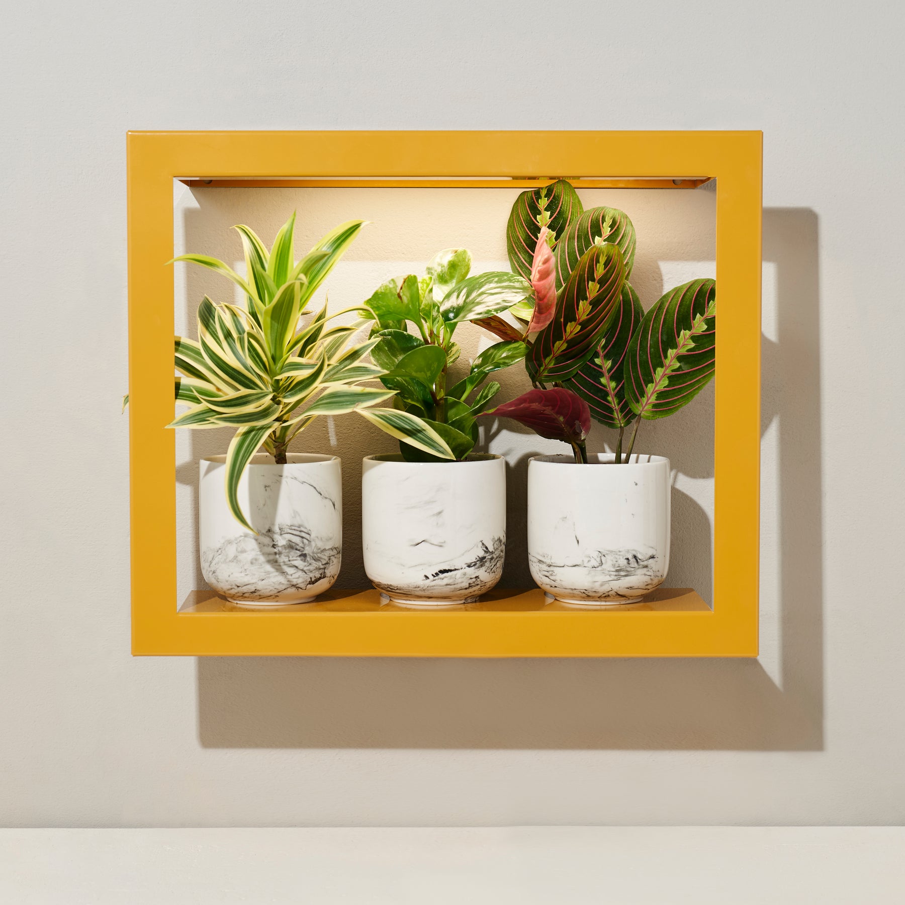 wall planter with grow light Smart Standard Growframe | Wall-Mountable Metal Fixture | 17” x 5.5” Shelf | Full-Spectrum LED Grow Light