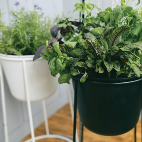 Metal Planter & Stand