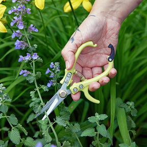 Gardening Shears & Pruners