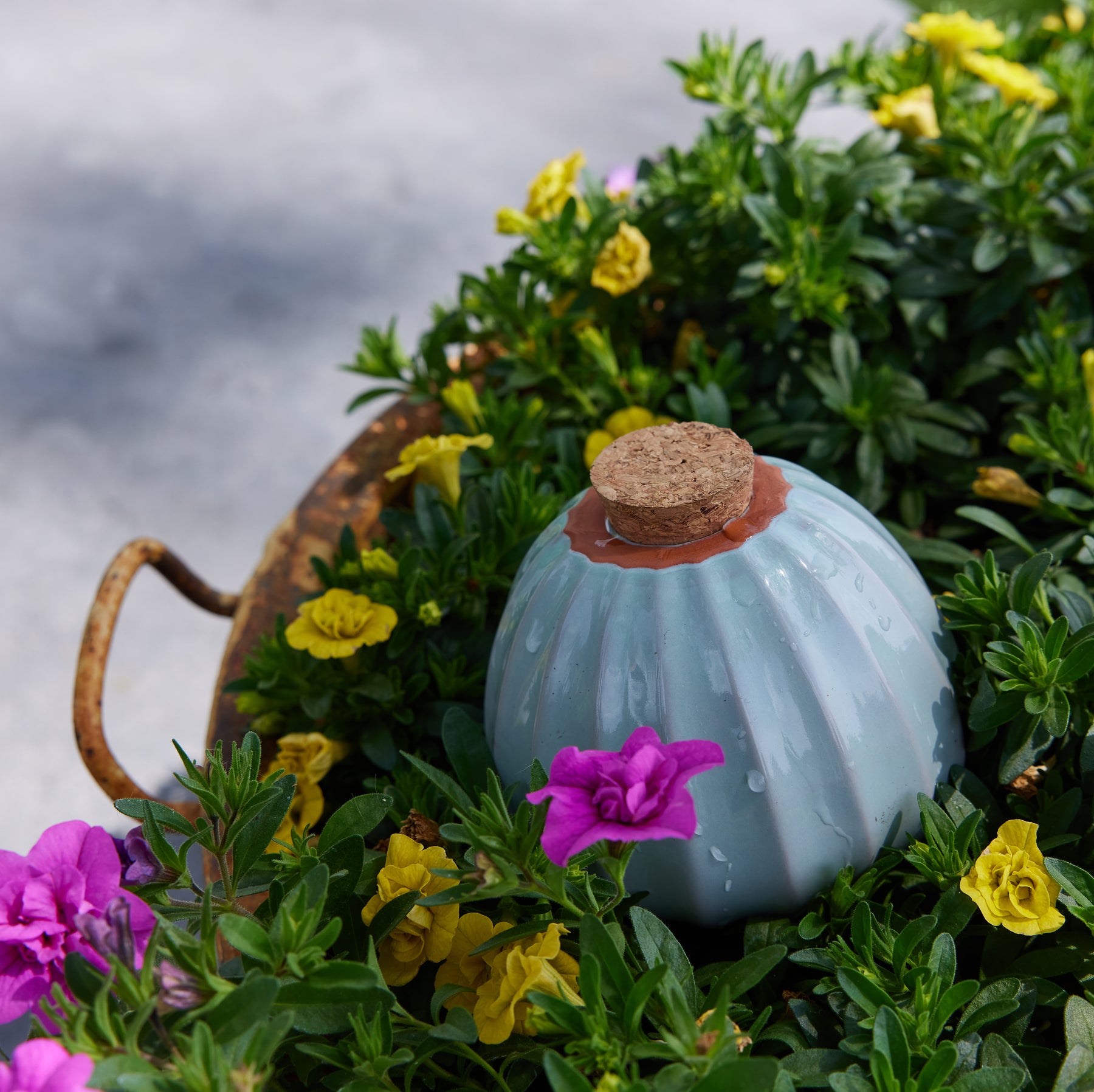 house plant watering bulbs Terracotta Watering Bulb (Mustard)