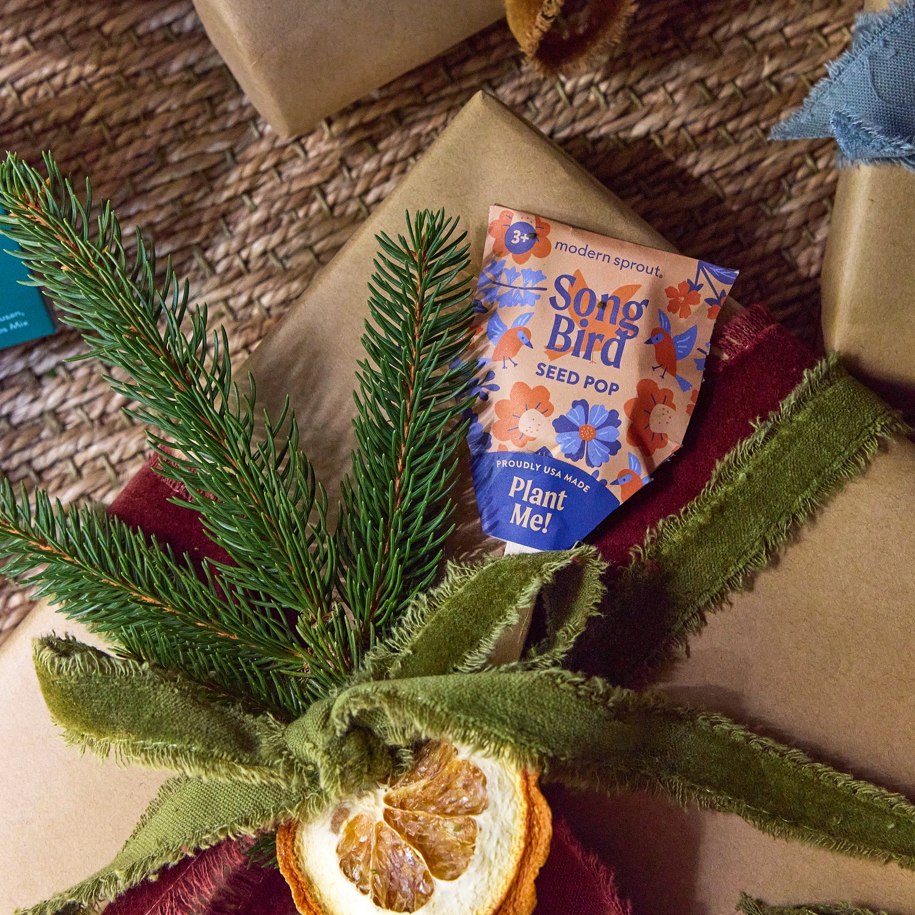Birding Gift Bundle