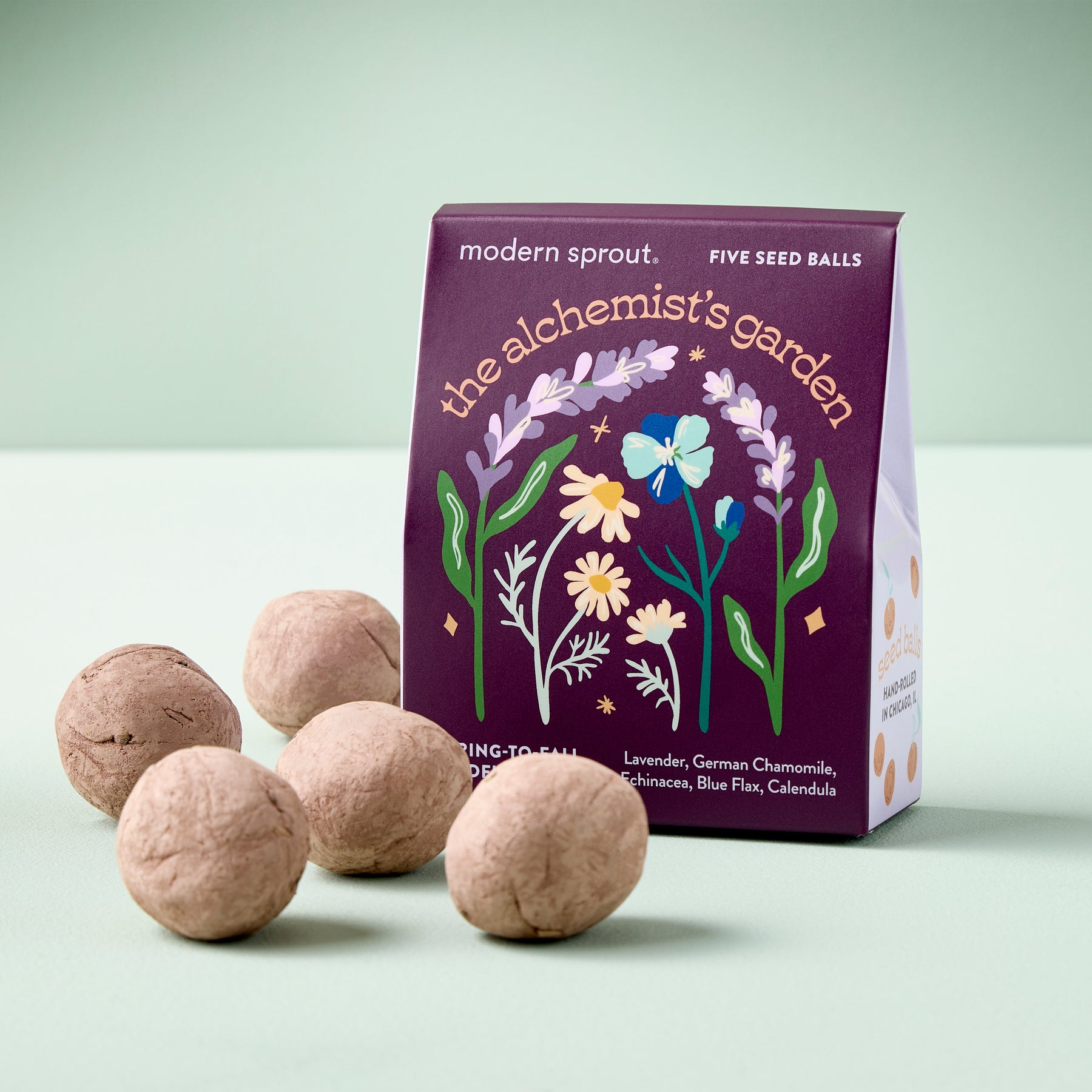 Bespoke Blooms Seed Balls in a decorative box featuring floral illustrations, showcasing five seed varieties for planting.