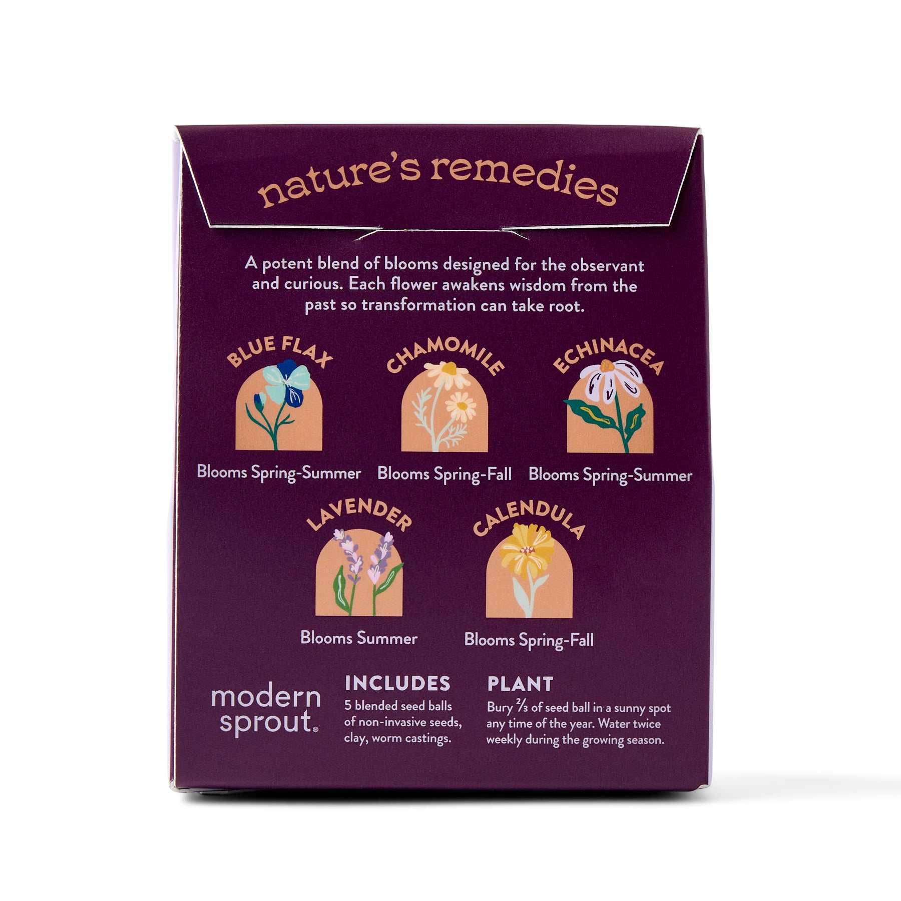 Bespoke Blooms Seed Balls packaging featuring flower illustrations and planting instructions for indoor gardens.