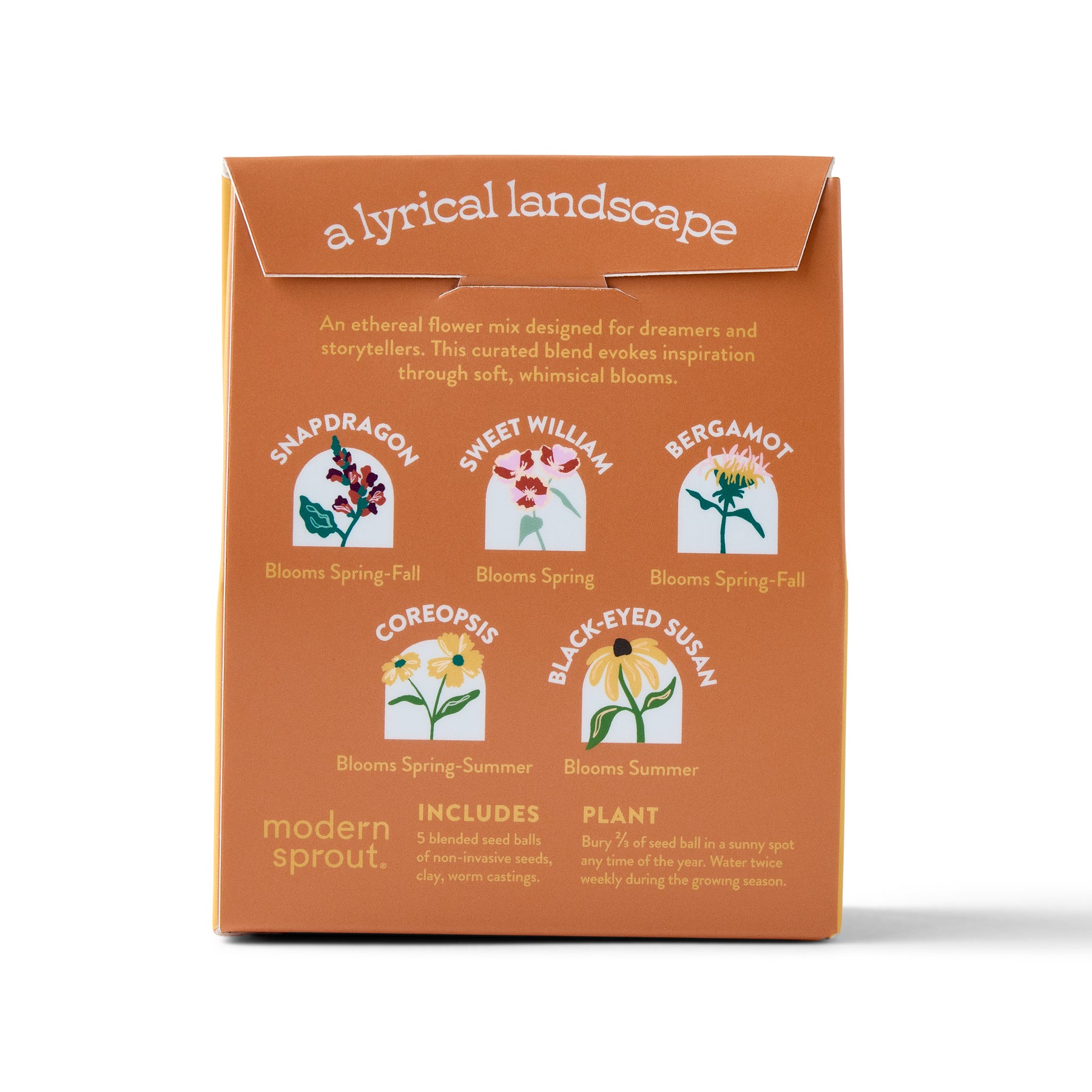 Bespoke Blooms Seed Balls packaging featuring flower illustrations and planting instructions for seasonal blooms.