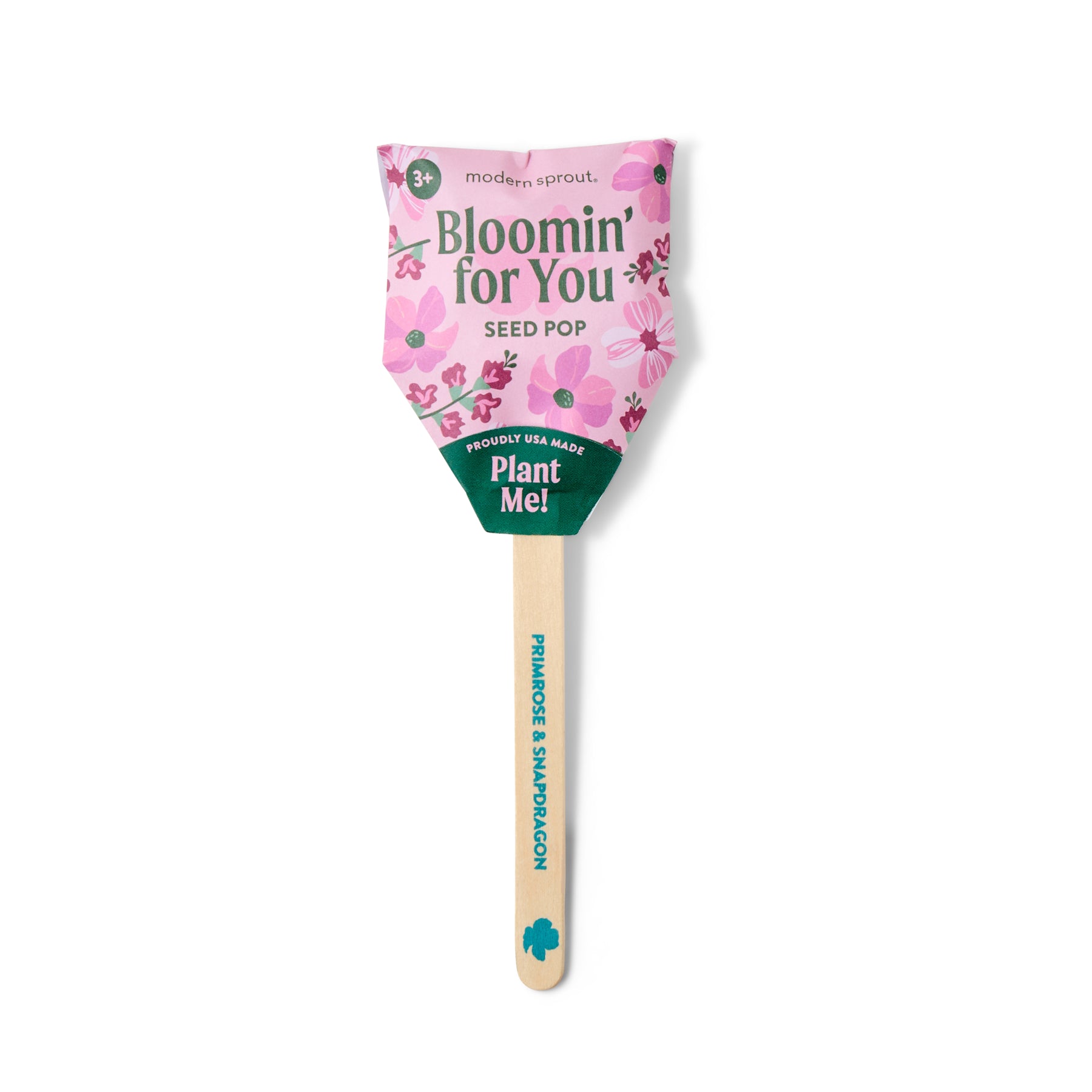 wildflower seed pops Bloomin for You Flower Seed Pop