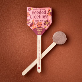Seed Pops - Holiday