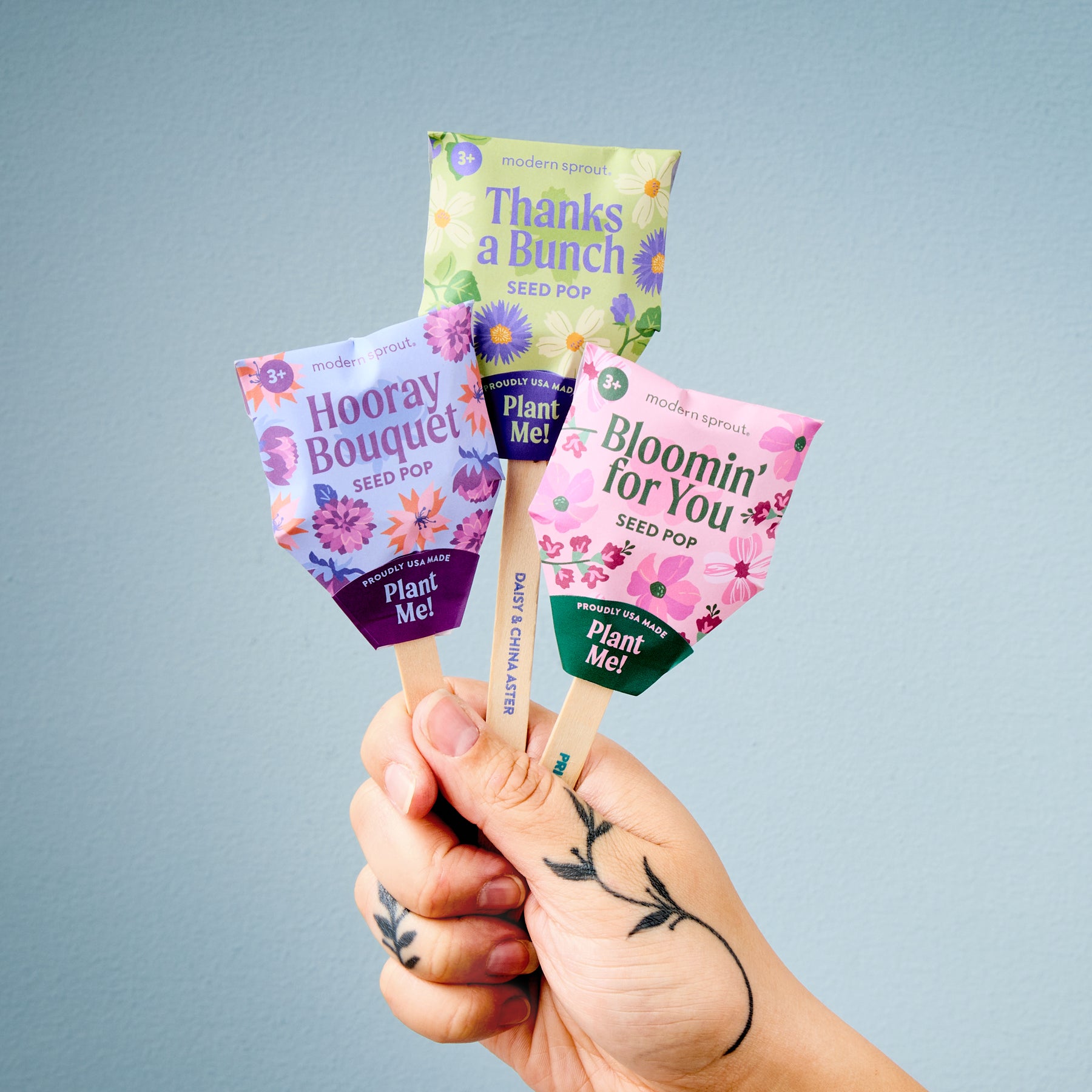 wildflower seed pops Flower Seed Pops