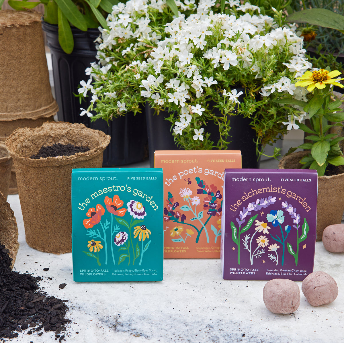 Bespoke Blooms Seed Balls in colorful packaging, surrounded by soil, pots, and blooming plants, ideal for indoor gardening.