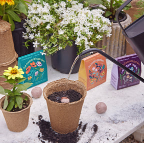 Bespoke Blooms Seed Balls displayed with potted plants and watering can, showcasing vibrant flower seed packets and soil.