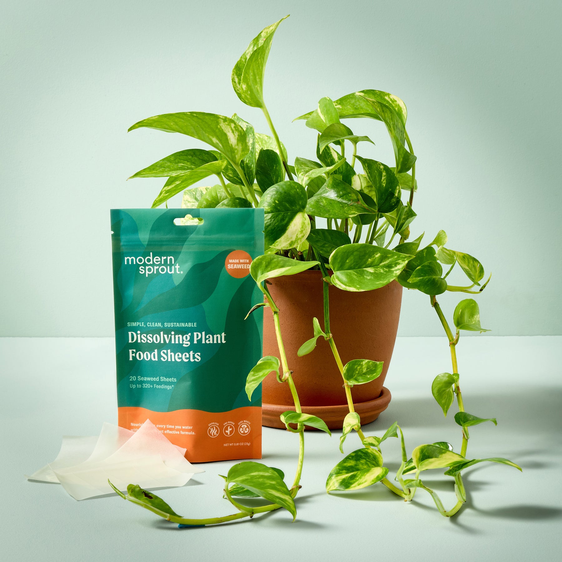 Dissolving Plant Food Sheets