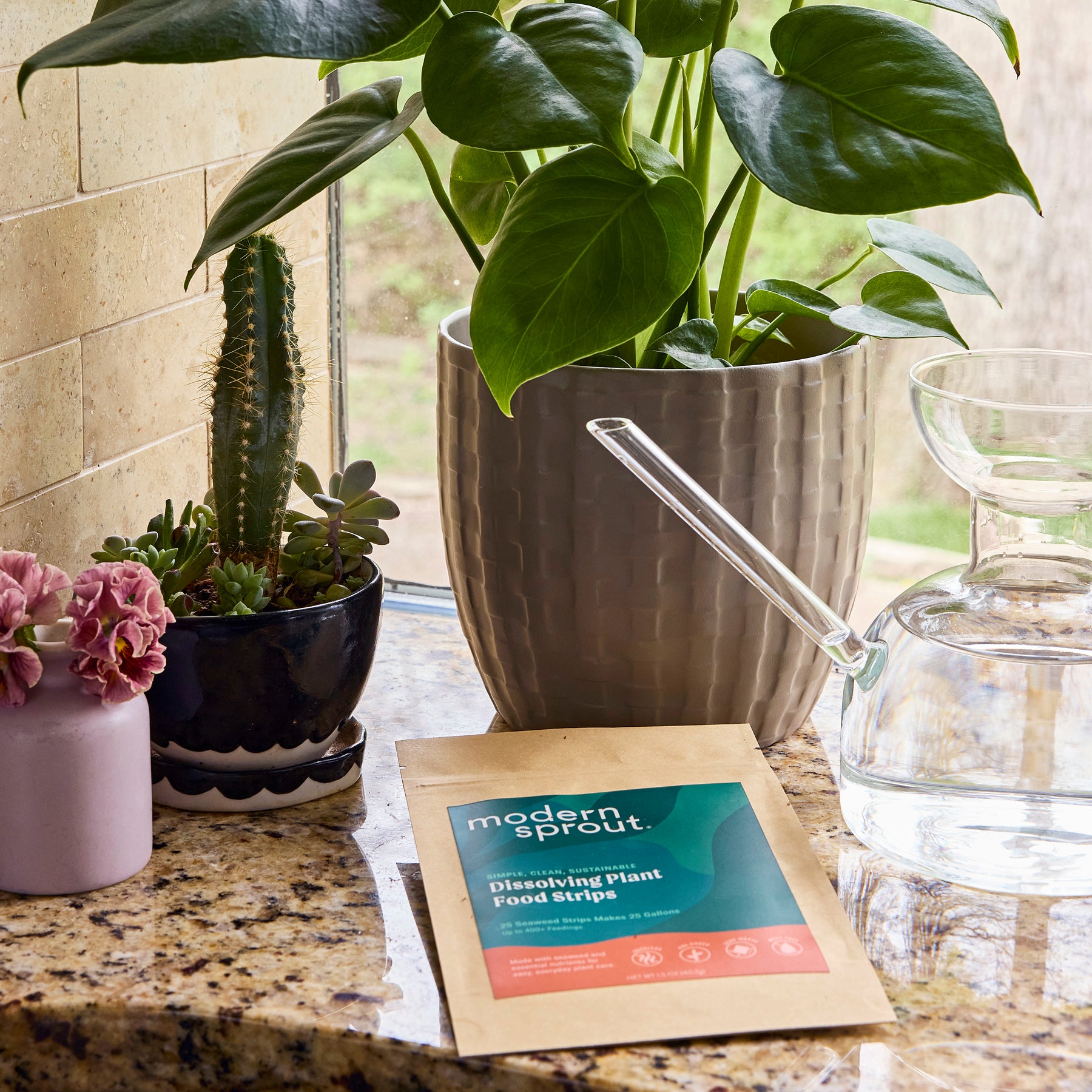Dissolving Plant Food Sheets
