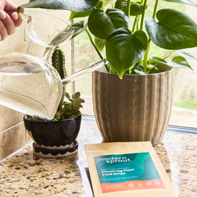 Dissolving Plant Food Sheets
