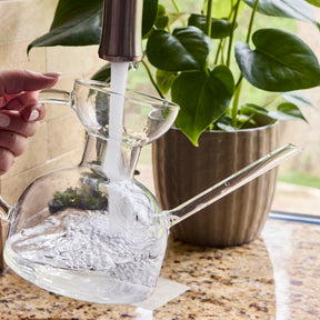 Dissolving Plant Food Sheets