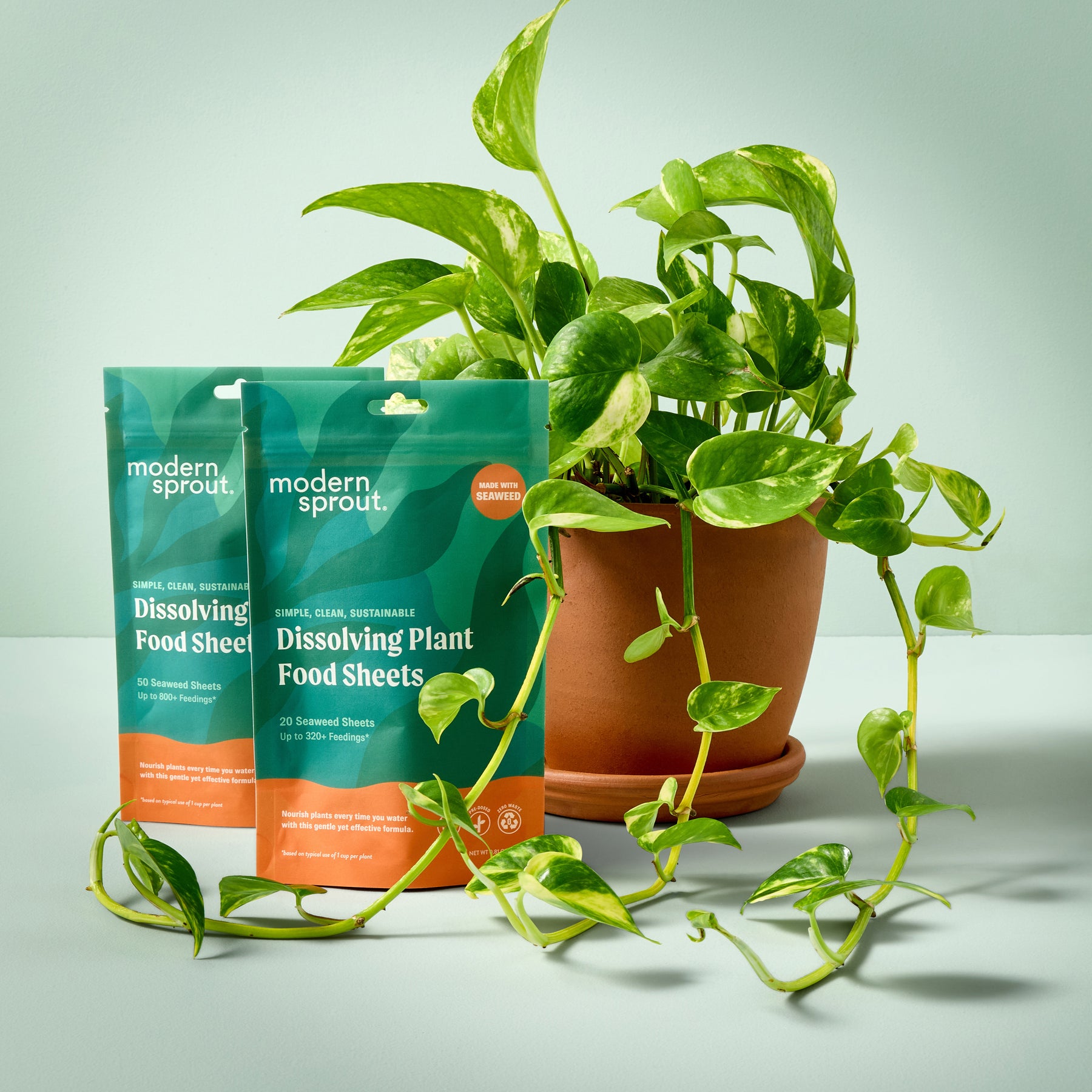 Dissolving Plant Food Sheets