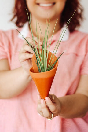 Medium Ceramic Wall Planter