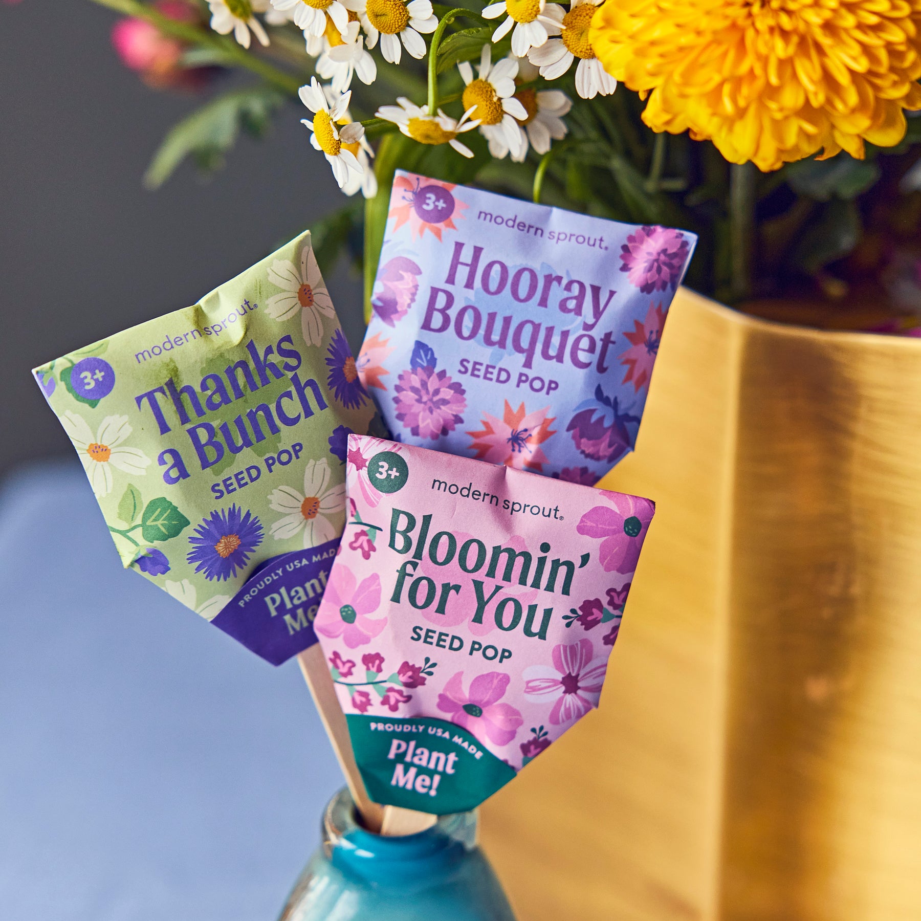 wildflower seed pops Seed Pops - Pollinator | Bumble Bee, Butterfly, Song Bird Seeds