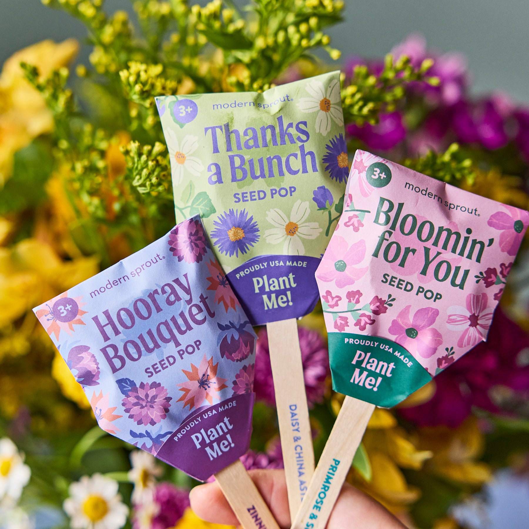 wildflower seed pops Seed Pops - Pollinator | Bumble Bee, Butterfly, Song Bird Seeds