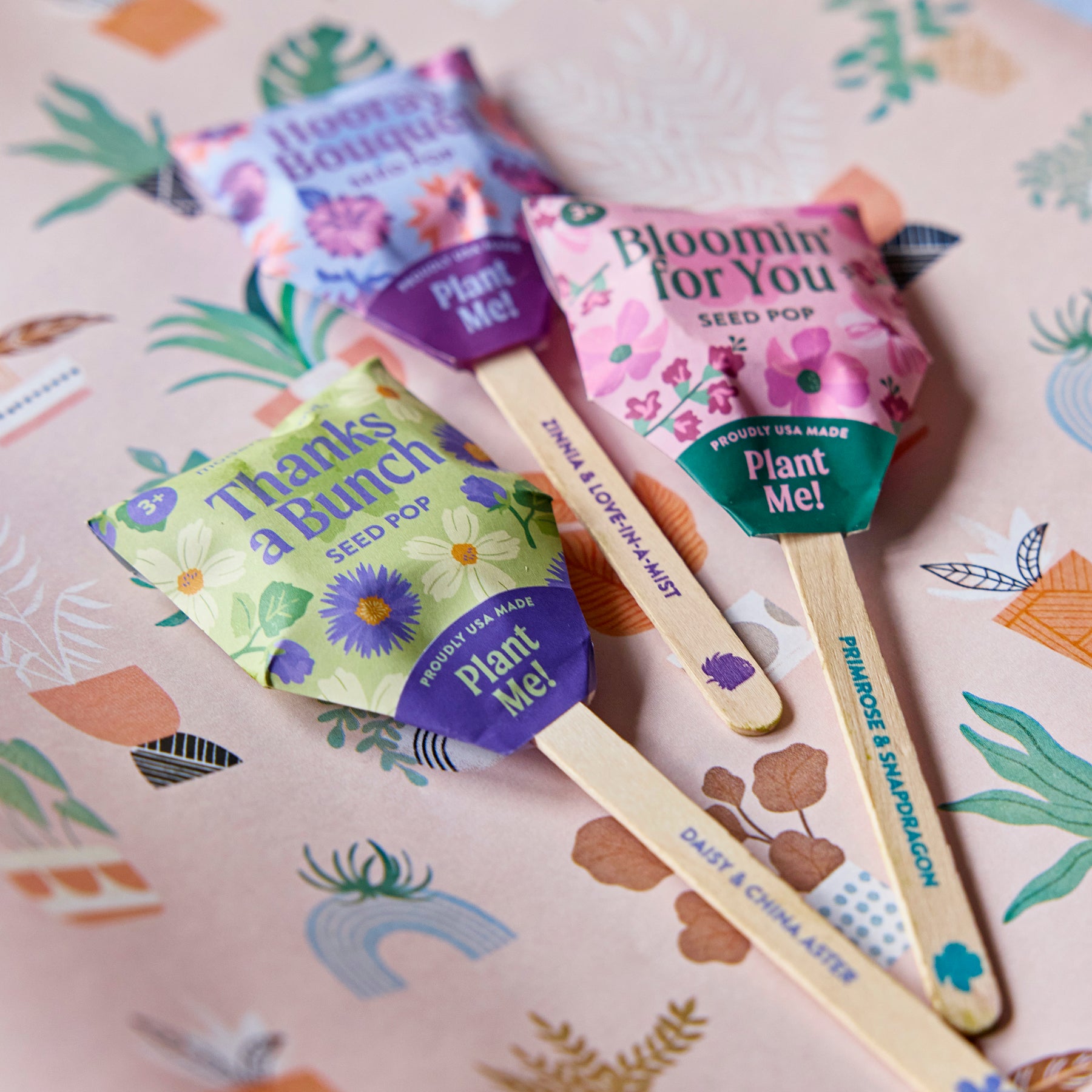 wildflower seed pops Seed Pops - Pollinator | Bumble Bee, Butterfly, Song Bird Seeds