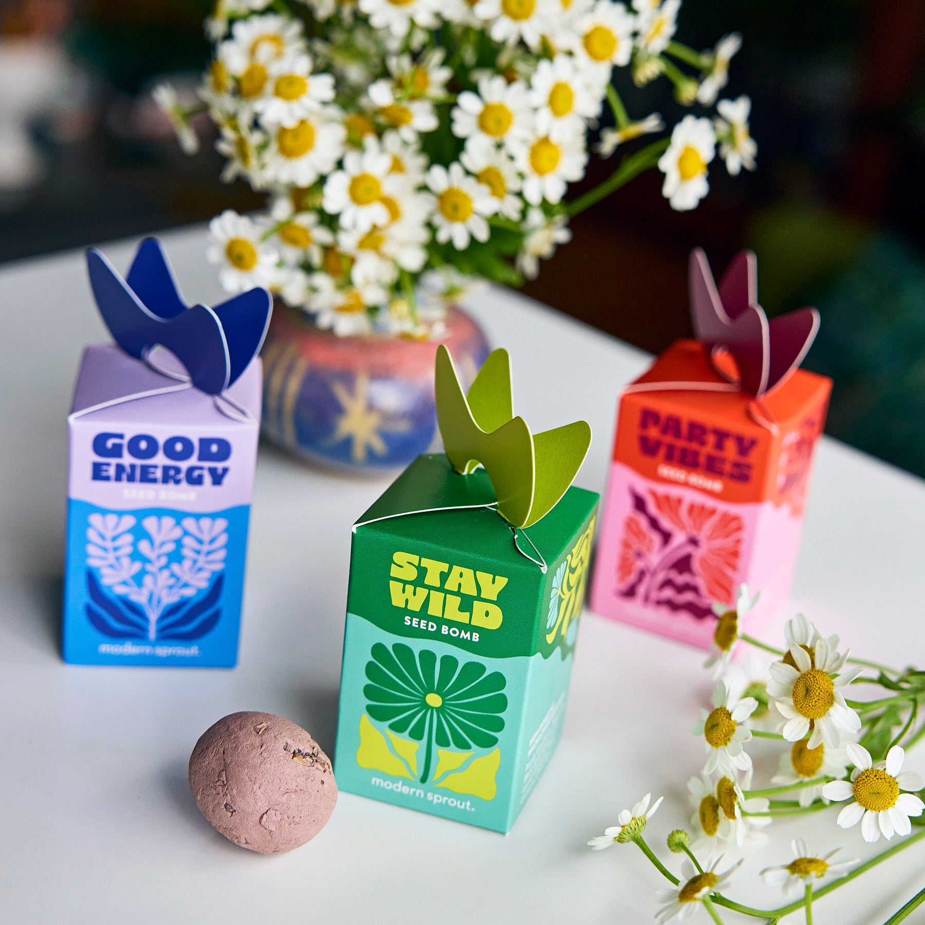 flower trick vs seed bomb Seed Bomb | Hand-Rolled Organic Seed Ball