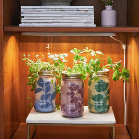 Growbar + 3 Garden Jars